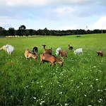 Dylewianka Farm stay *