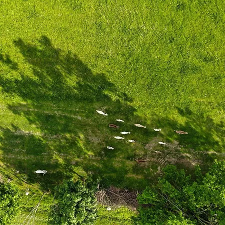 Dylewianka Agroturismo *