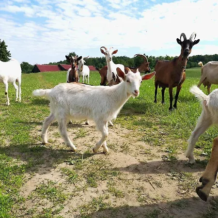 Agroturismo Dylewianka Wysoka Wieś