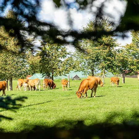 Agroturismo Dylewianka