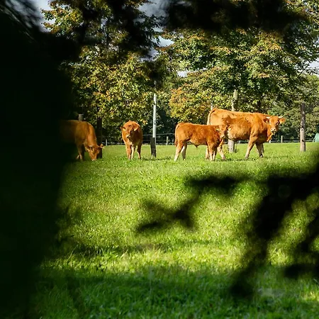 Dylewianka Agroturismo *
