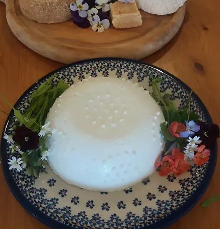 Dylewianka Agroturismo Wysoka Wieś