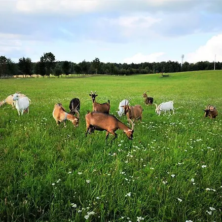 Dylewianka Alloggio per agriturismo *