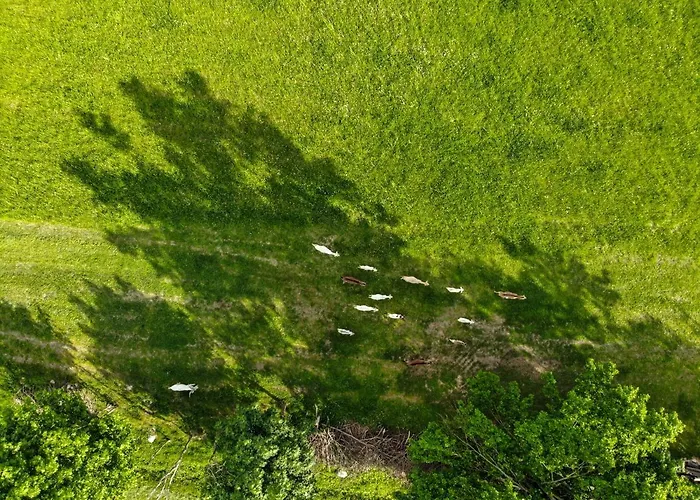 Dylewianka Farm stay *