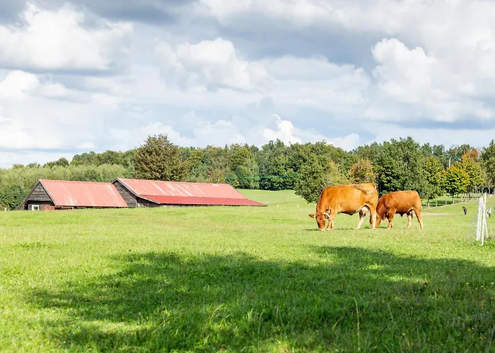 Dylewianka Farm stay