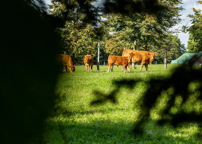 Dylewianka Farm stay *